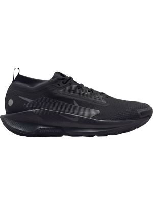 Nike Pegasus Trail 5 GTX black