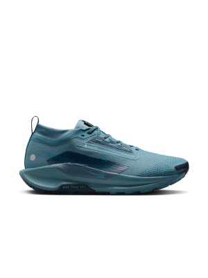 Nike Pegasus Trail 5 GTX smokey blue