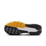 Nike W Pegasus 5 Trail GTX phantom/black-white