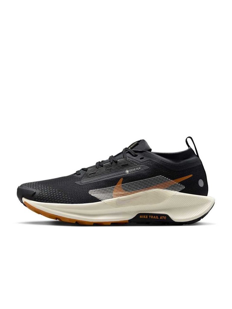 Nike Pegasus Trail 5 GTX off noir/pale ivory-black