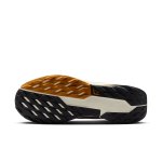 Nike Pegasus Trail 5 GTX off noir/pale ivory-black