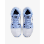 Nike LeBron Witness VIII white/thunder blue/aluminium