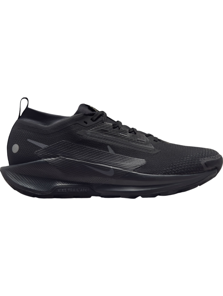 Nike W Pegasus Trail 5 GTX black/anthracite