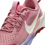 Nike Pegasus Trail 5 (GS) red stardust/mars stone/sail