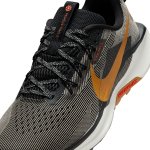 Nike ReactX Pegasus Trail 5 black/desert ochre/fir
