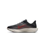 Nike Pegasus Plus anthracite/bright crimson