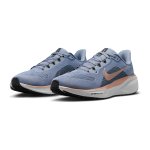 Nike W Air Zoom Pegasus 41 ashen slate/red bronze