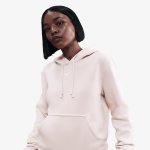 Nike W Sportswear Phoenix Hoodie silt red/sail