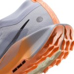Nike W Pegasus Trail 5 GTX ghost/black/malt/orange pulse