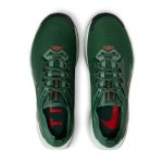 Nike Pegasus Trail 5 GTX fir/bright crimson/clay green