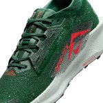 Nike Pegasus Trail 5 GTX fir/bright crimson/clay green